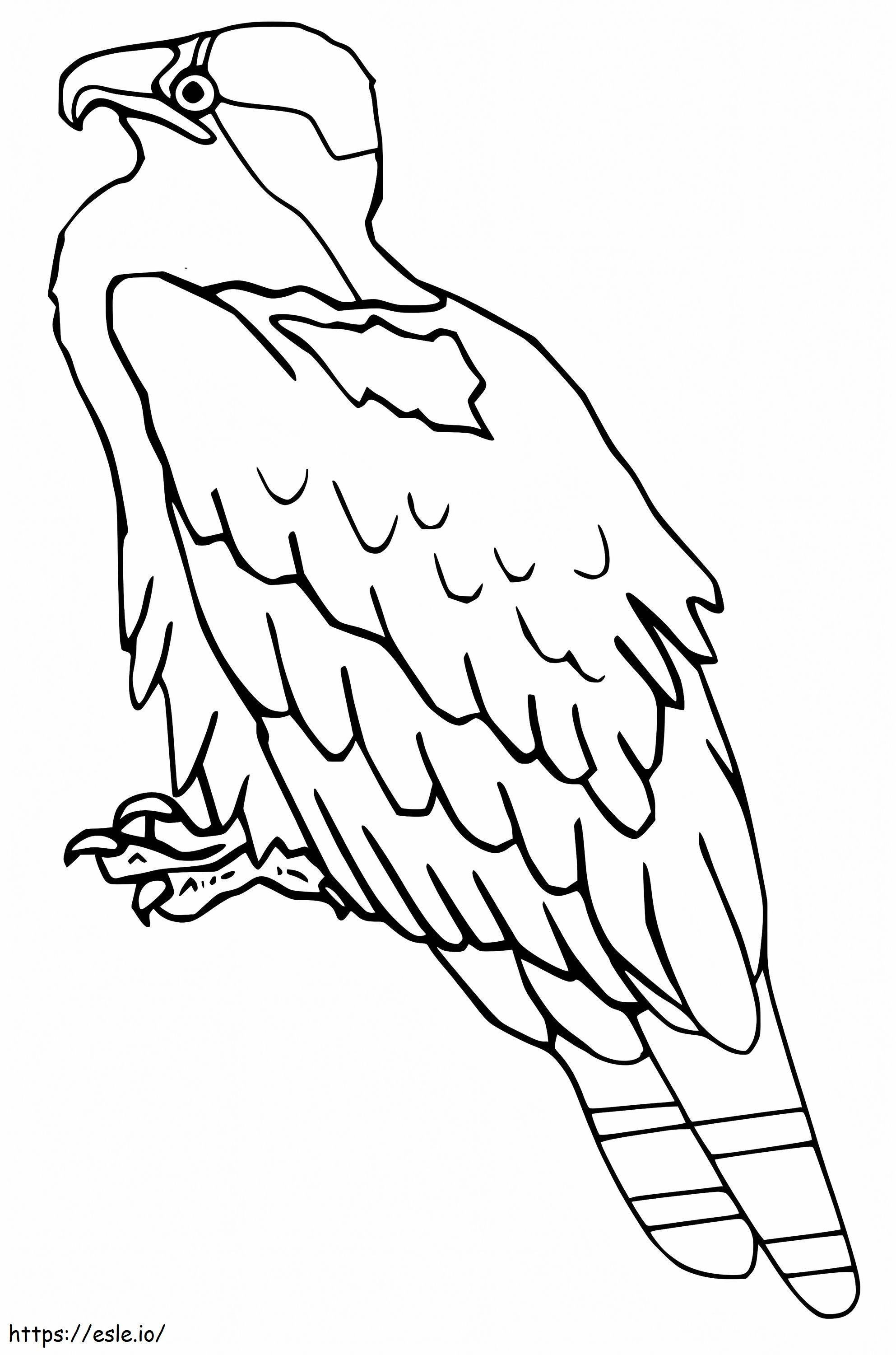 Águila pescadora normal para colorear