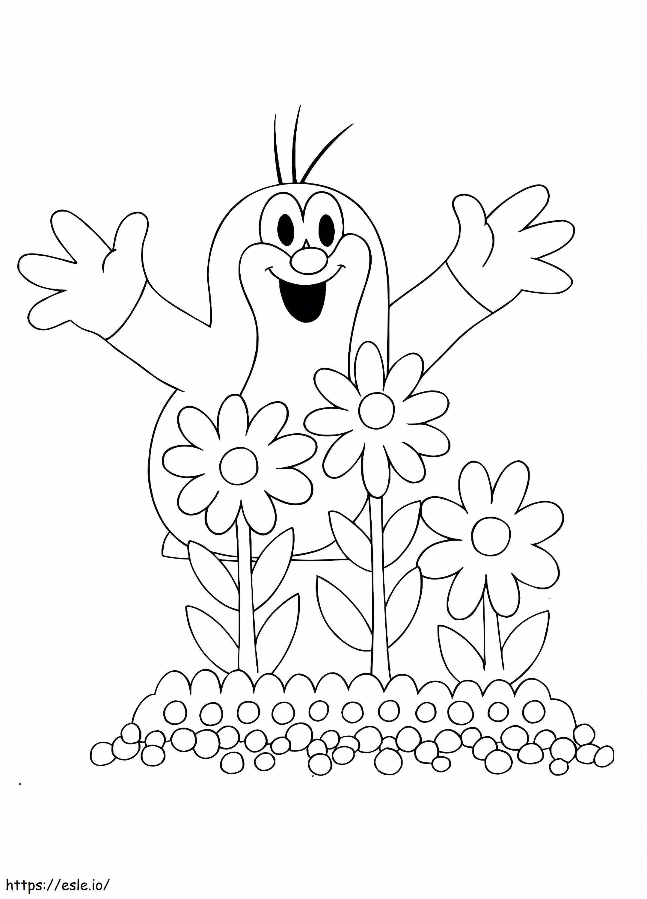 Krtek And Flowers coloring page