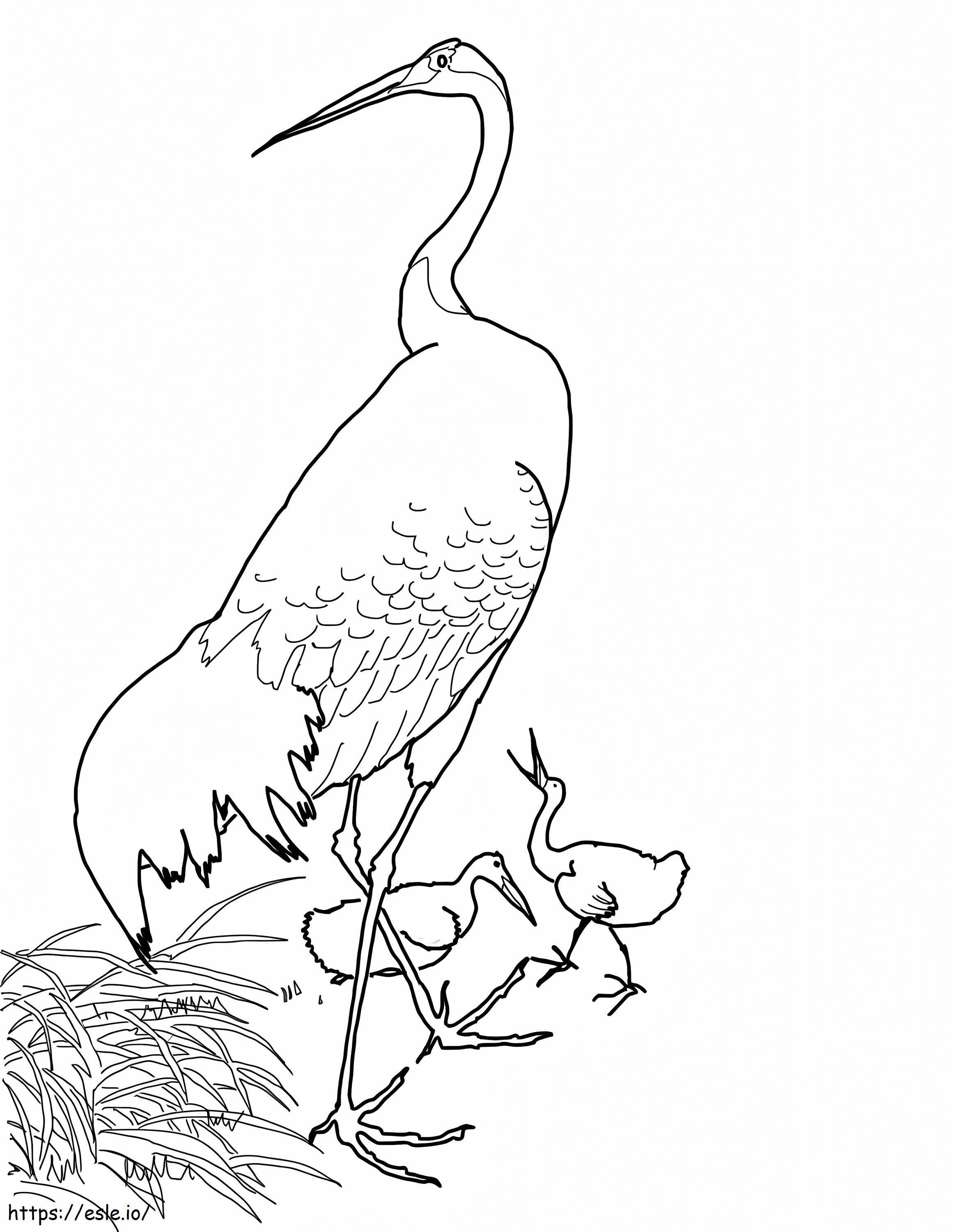 Japanese Crane coloring page