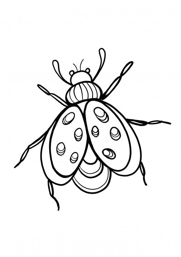 simple fly coloring and printing for free