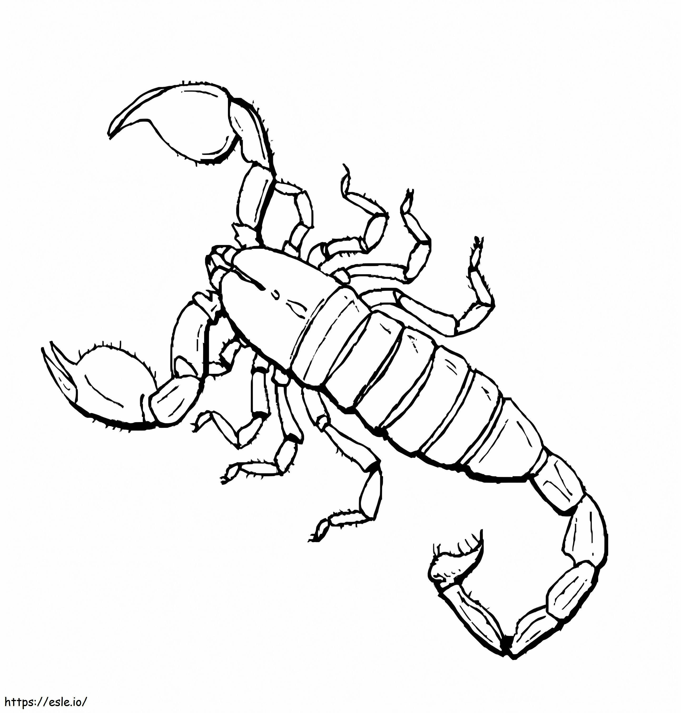 Skorpion 12 kolorowanka
