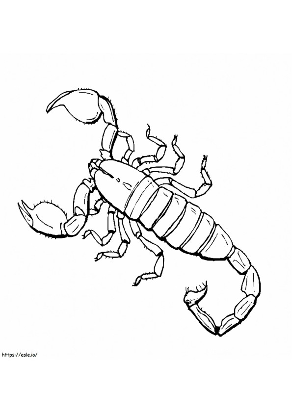 Scorpion 12 coloring page