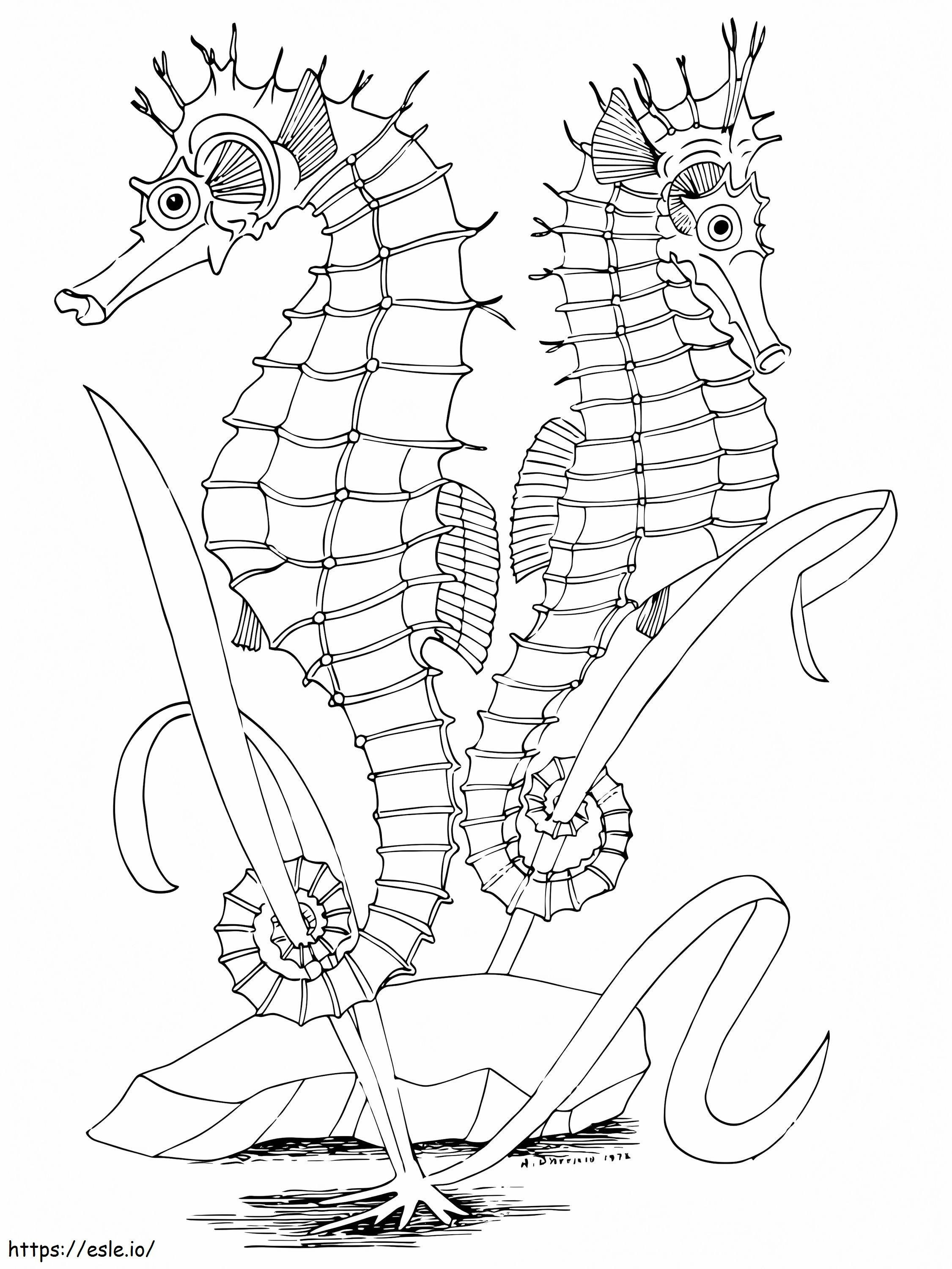 Coloriage Deux hippocampes à imprimer dessin