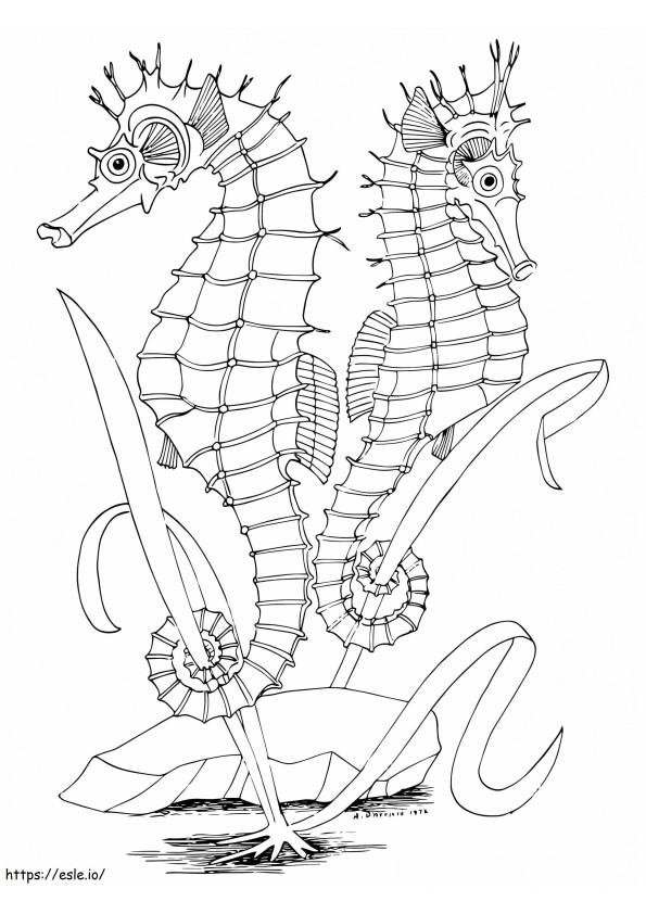Two Seahorses coloring page