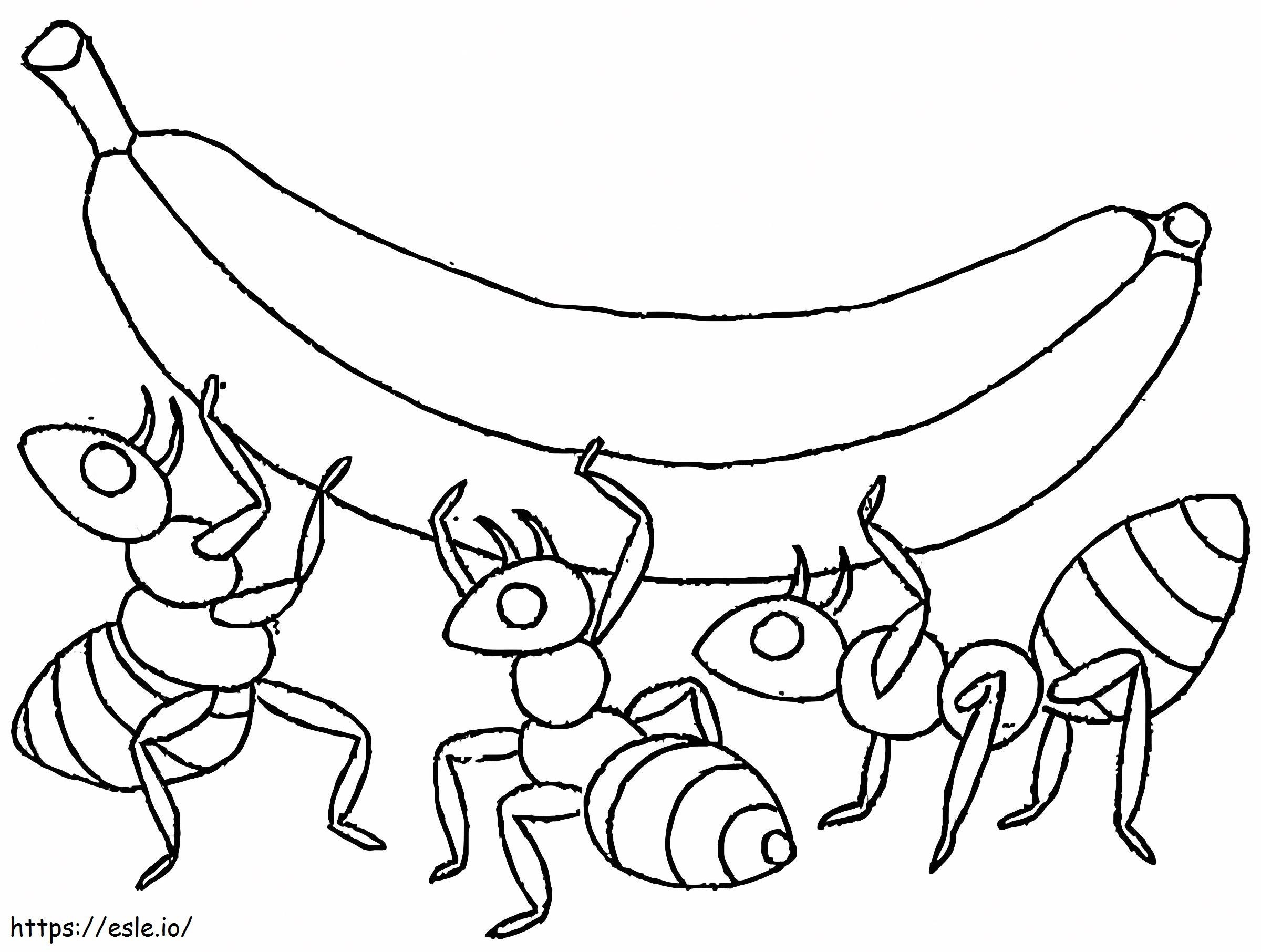 Coloriage Banane dans la fourmi à imprimer dessin