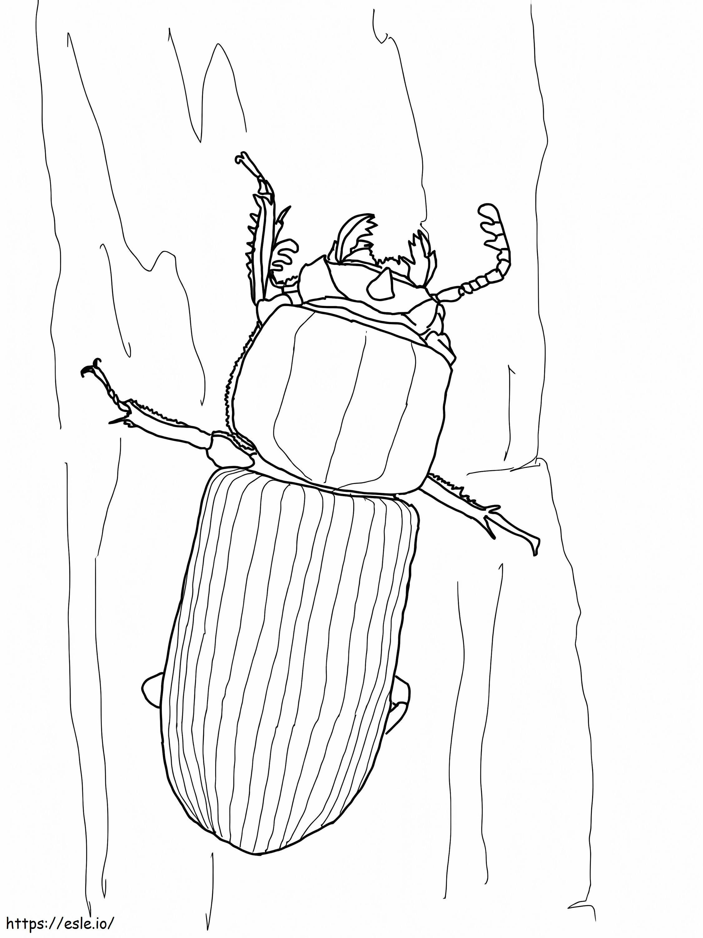 Bess Beetle kolorowanka