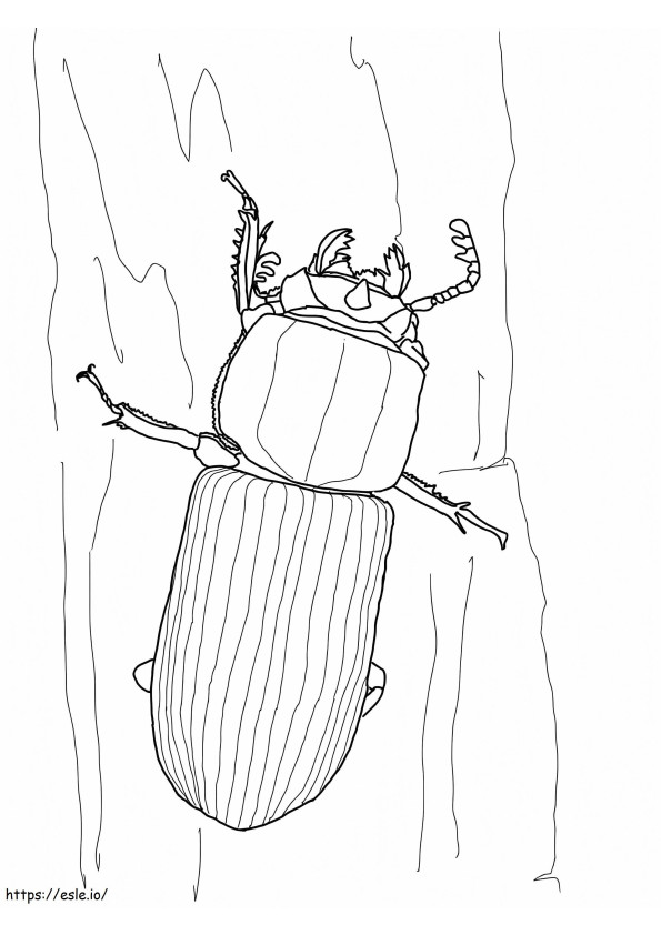 Bess Beetle de colorat
