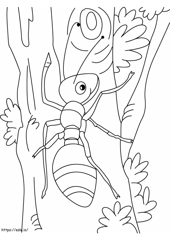 Coloriage Ours grimpant à l'arbre à imprimer dessin