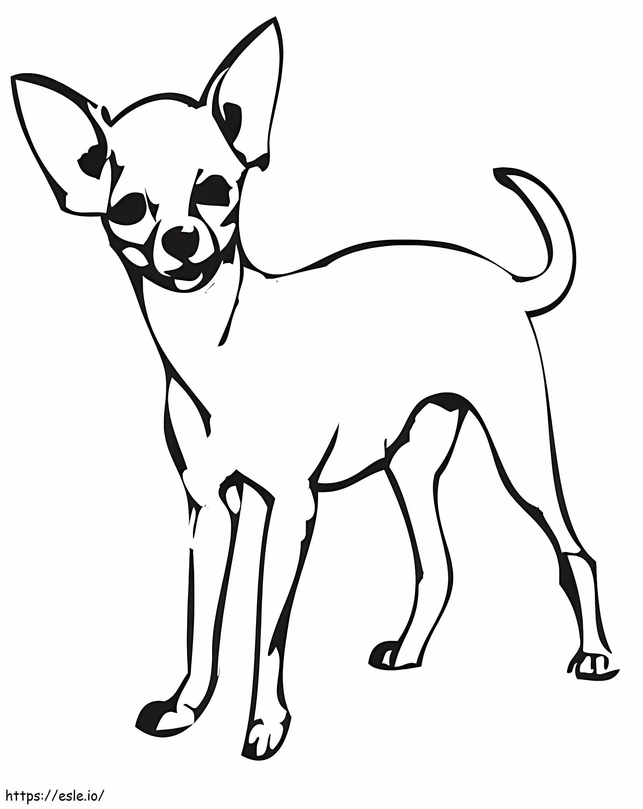 Seekor Anjing Chihuahua Gambar Mewarnai
