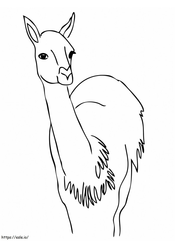 Curious Guanaco coloring page