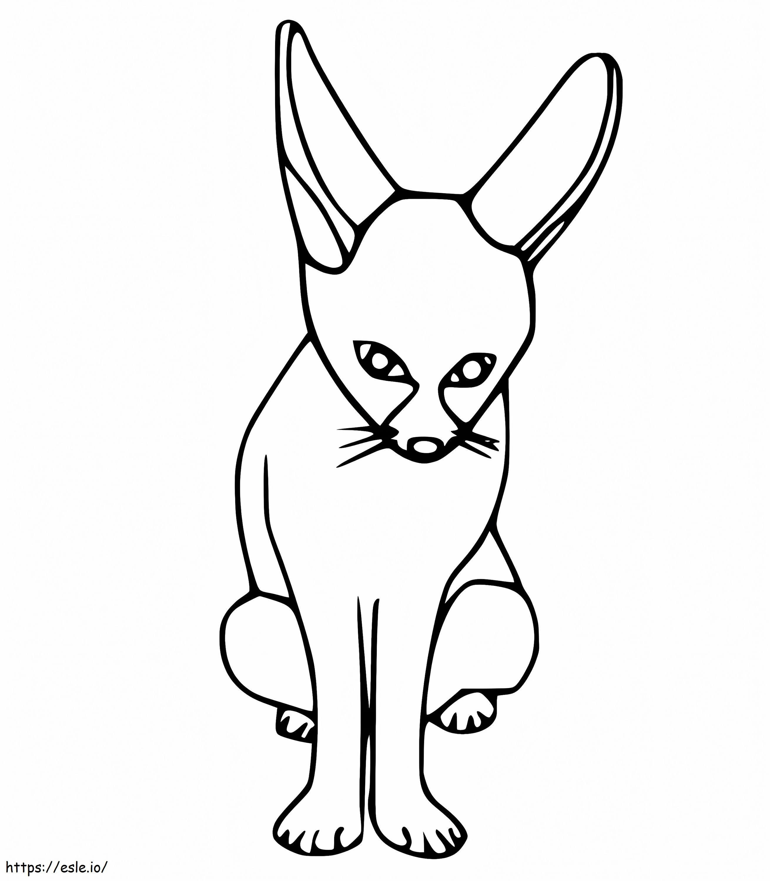 Easy Fennec Fox coloring page