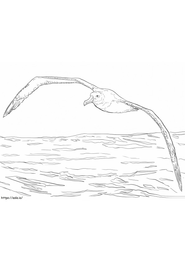 Albatros errante volando para colorear