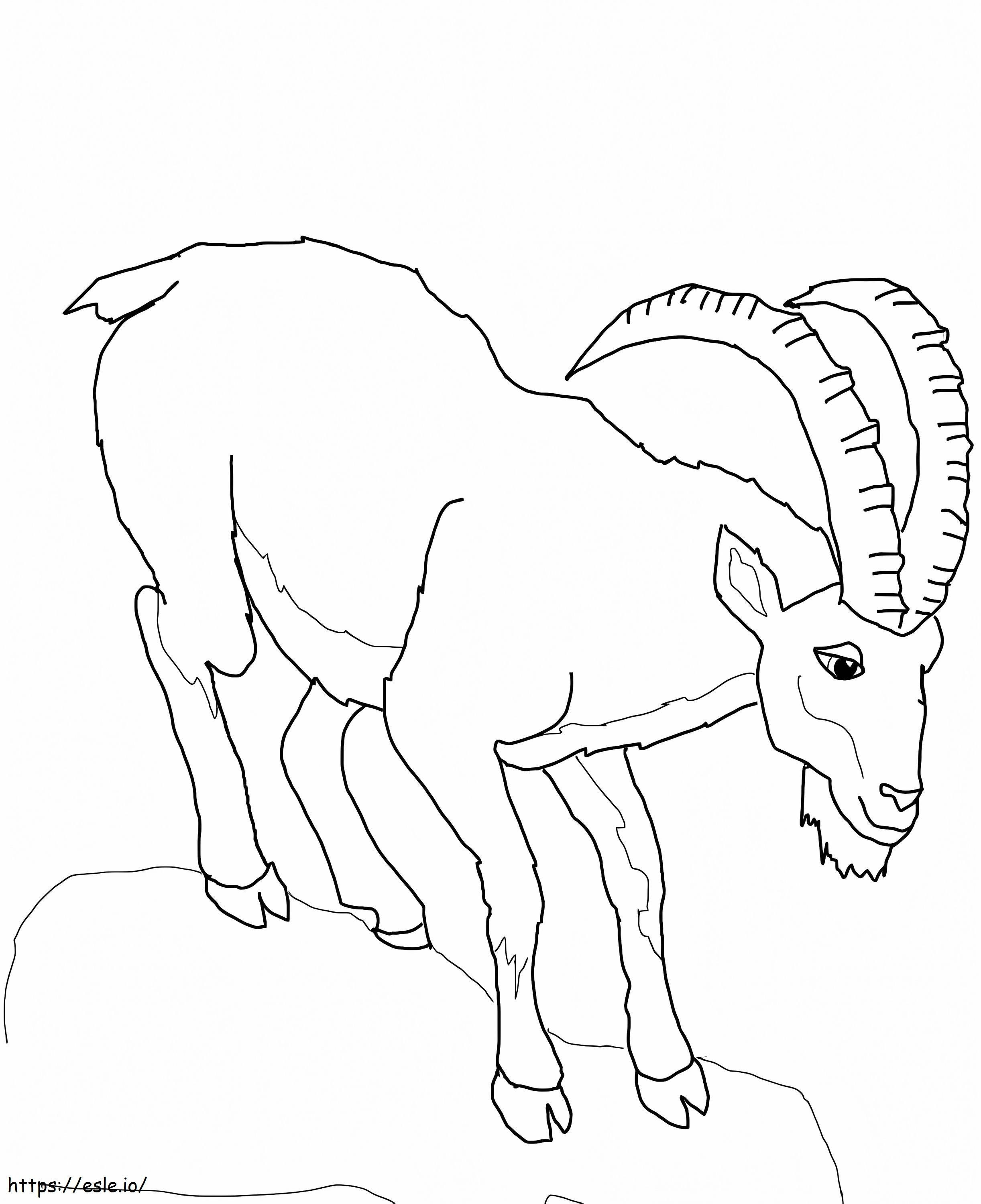 Normaali Ibex värityskuva
