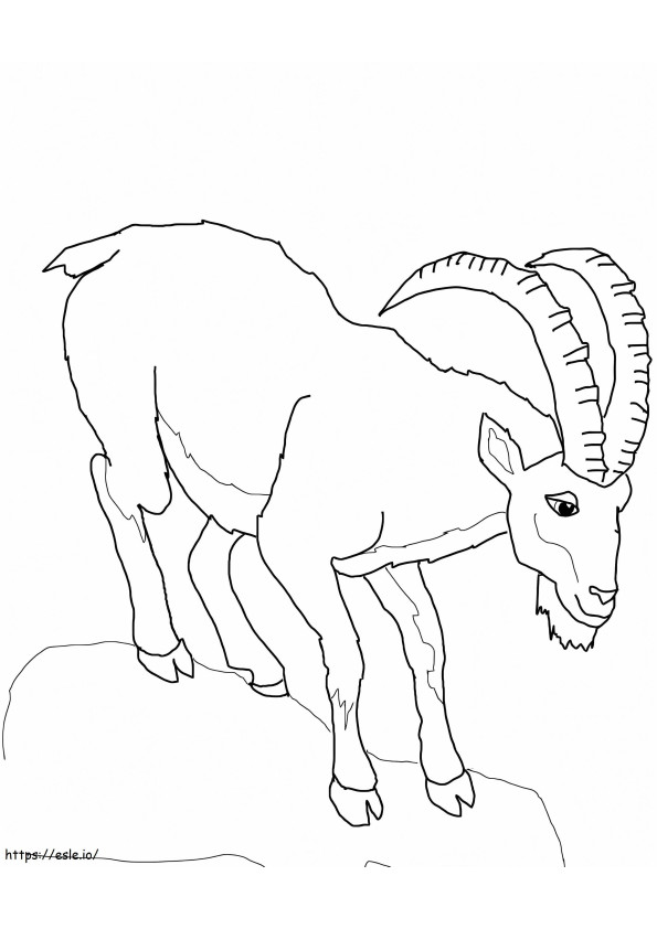 Ibex normal de colorat