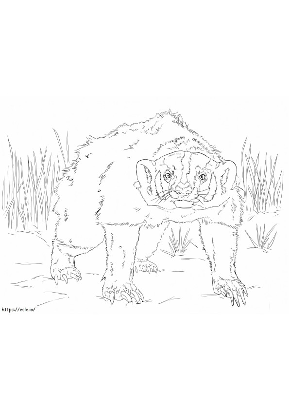 Free American Badger coloring page