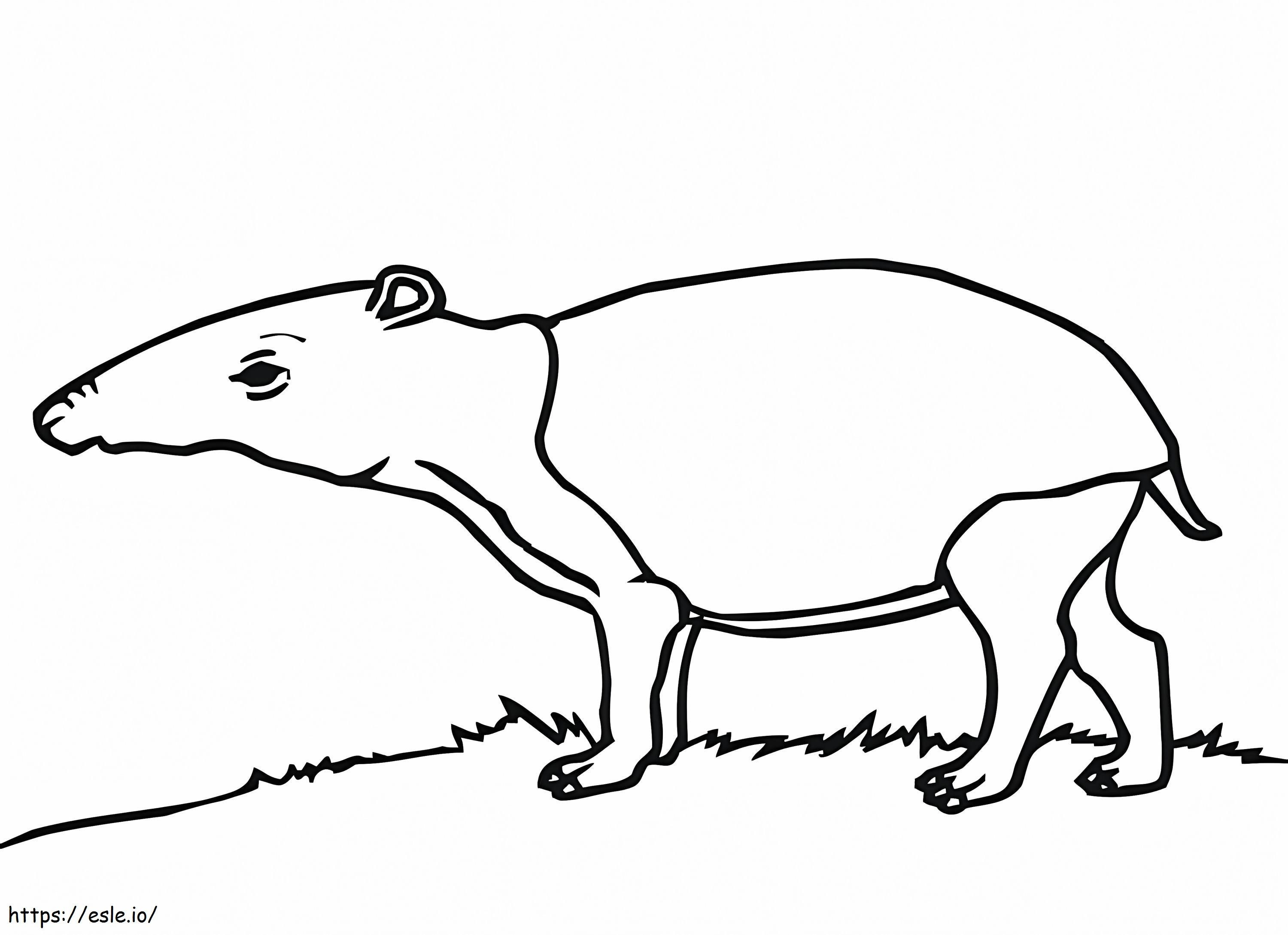 Coloriage Tapir imprimable à imprimer dessin