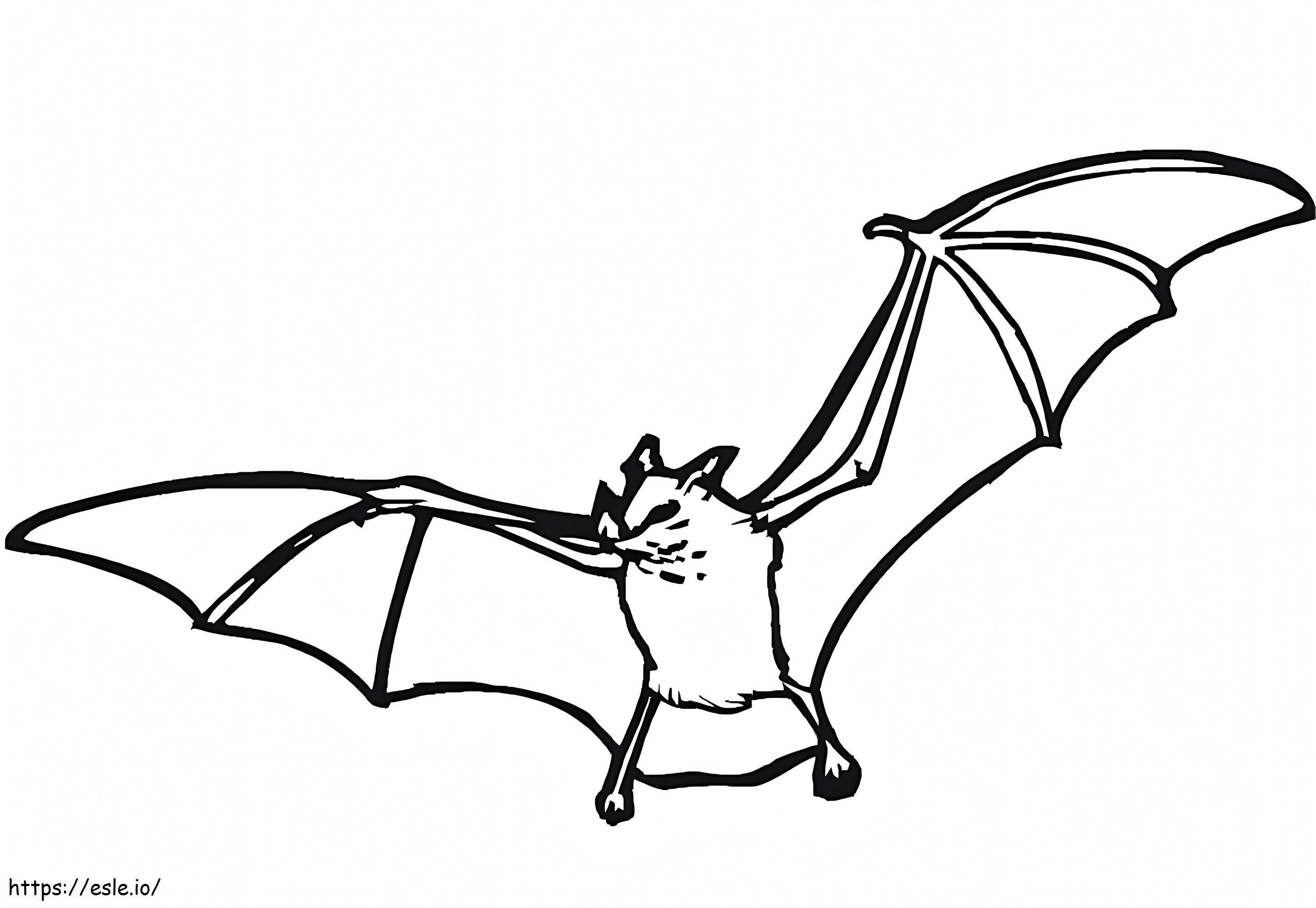 Normal Bat coloring page