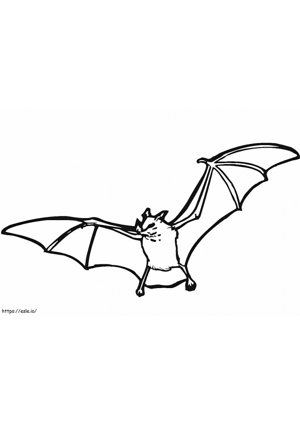morcego normal para colorir