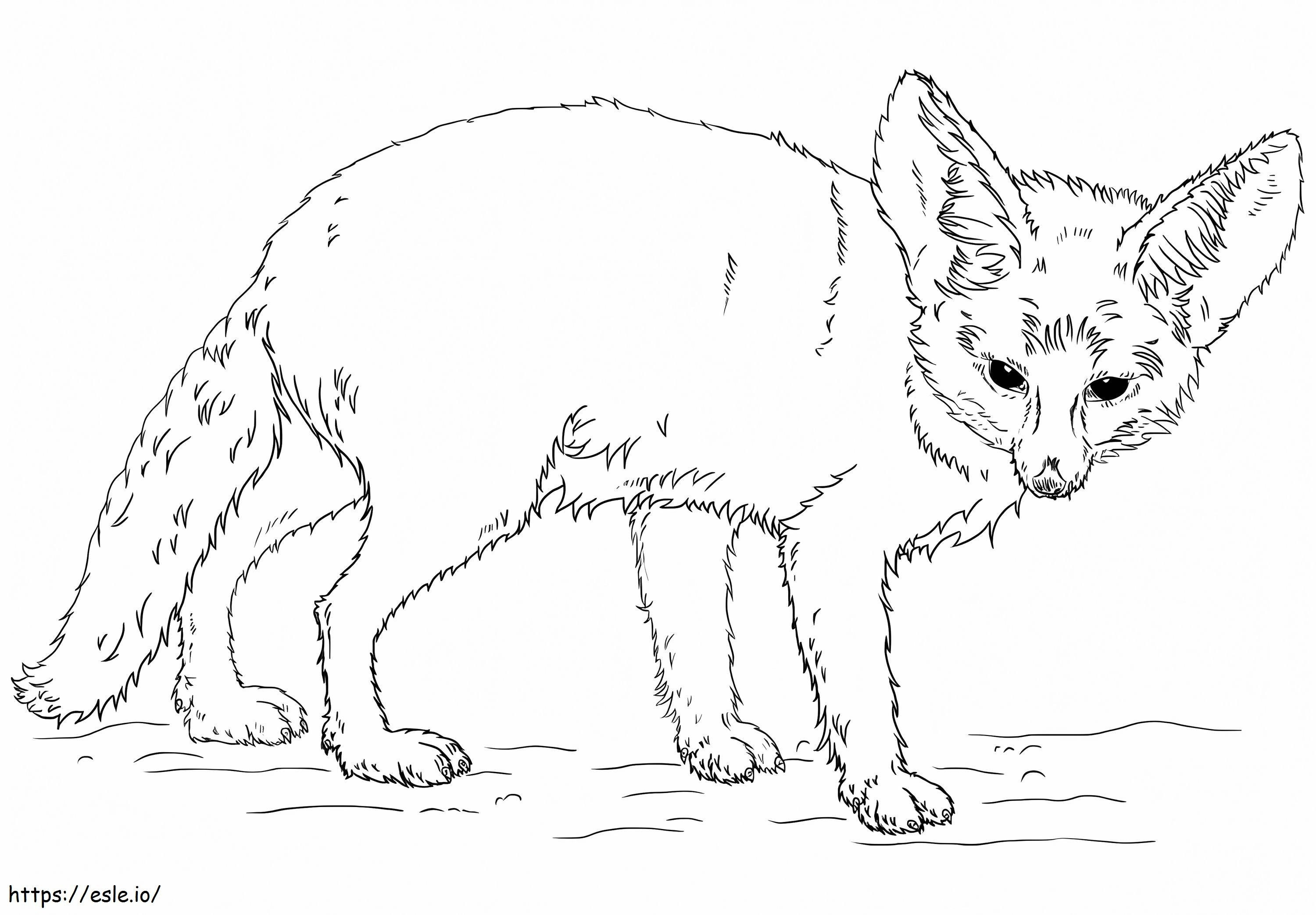 Egy Fennec Fox kifestő