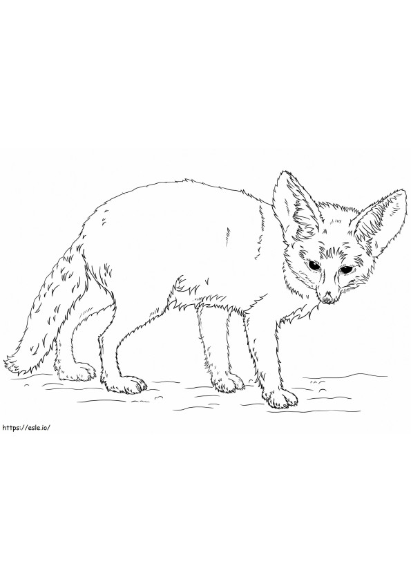 Uma raposa Fennec para colorir