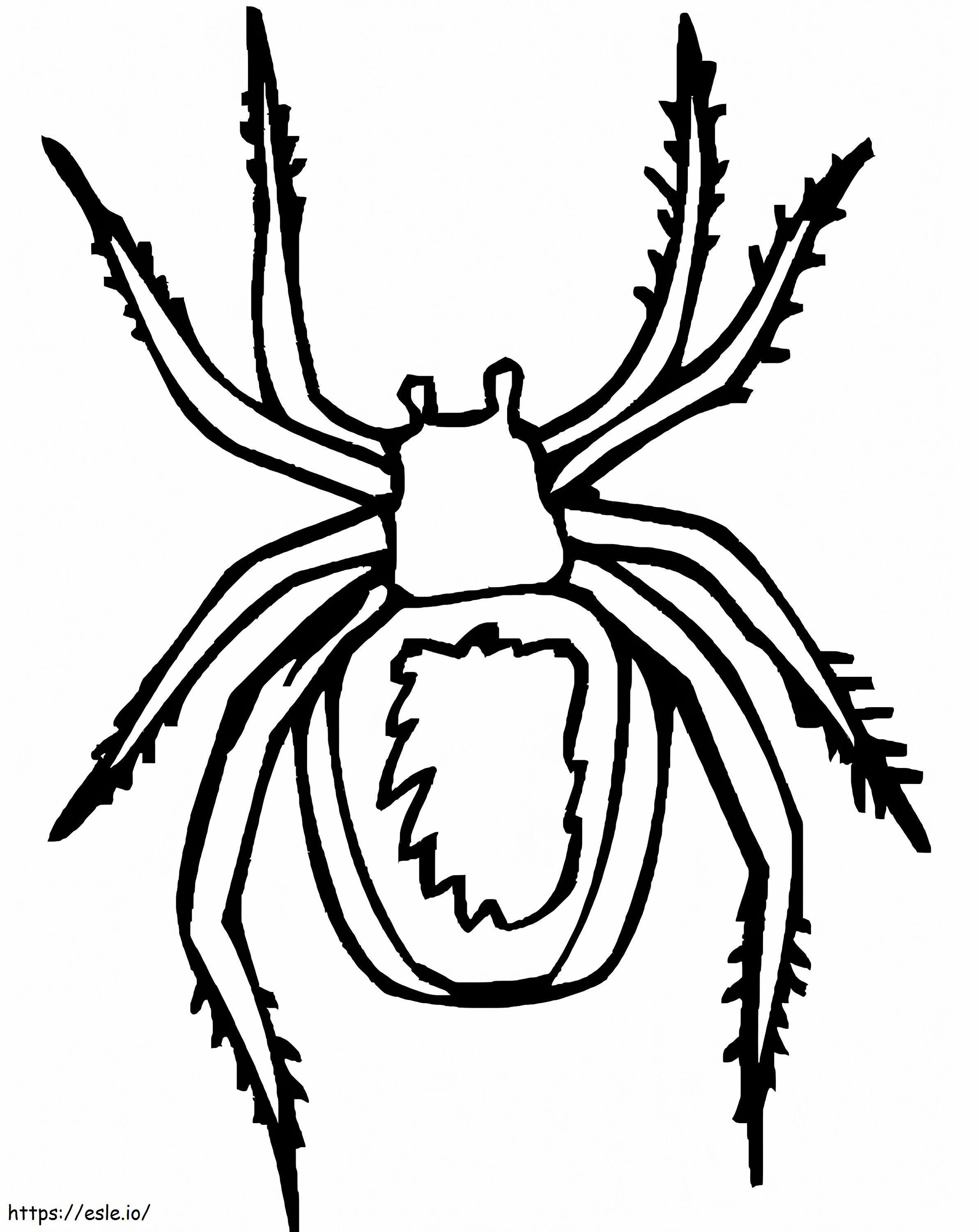 Păianjen 3 de colorat