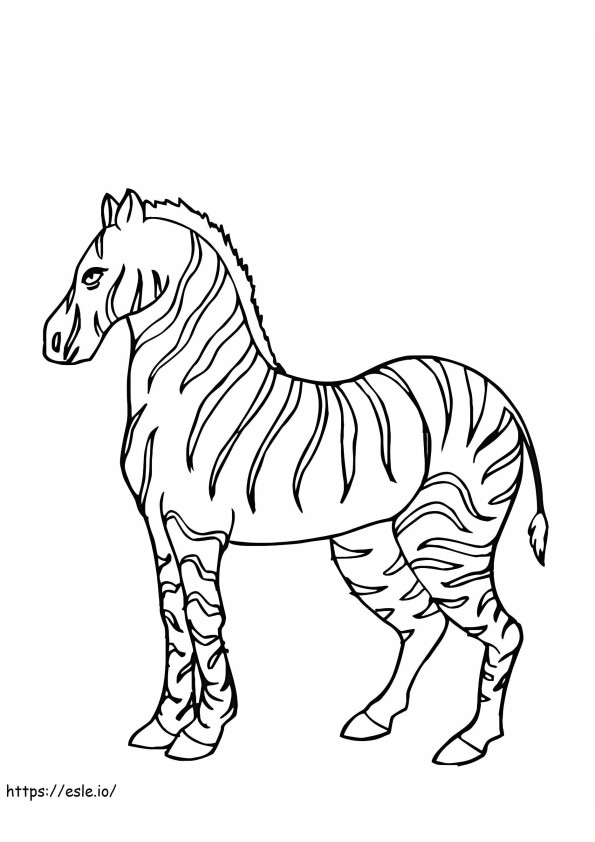 Zebra impressionante da colorare