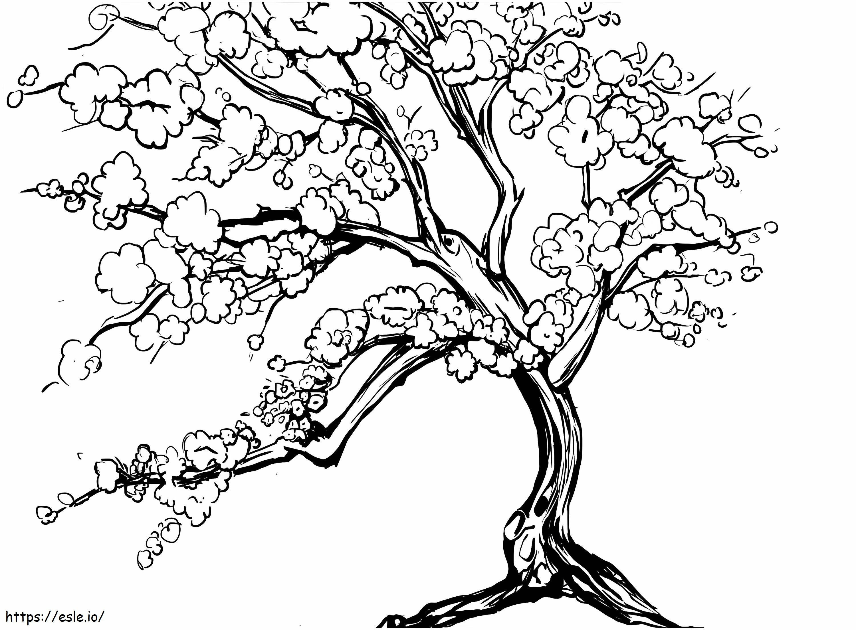 Big Cherry Blossom Tree coloring page