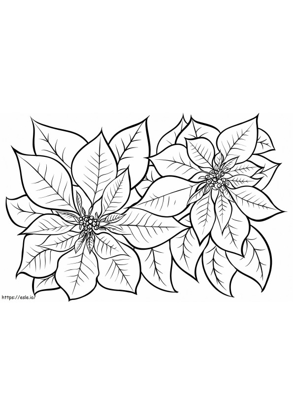 Coloriage Poinsettia imprimable gratuitement à imprimer dessin