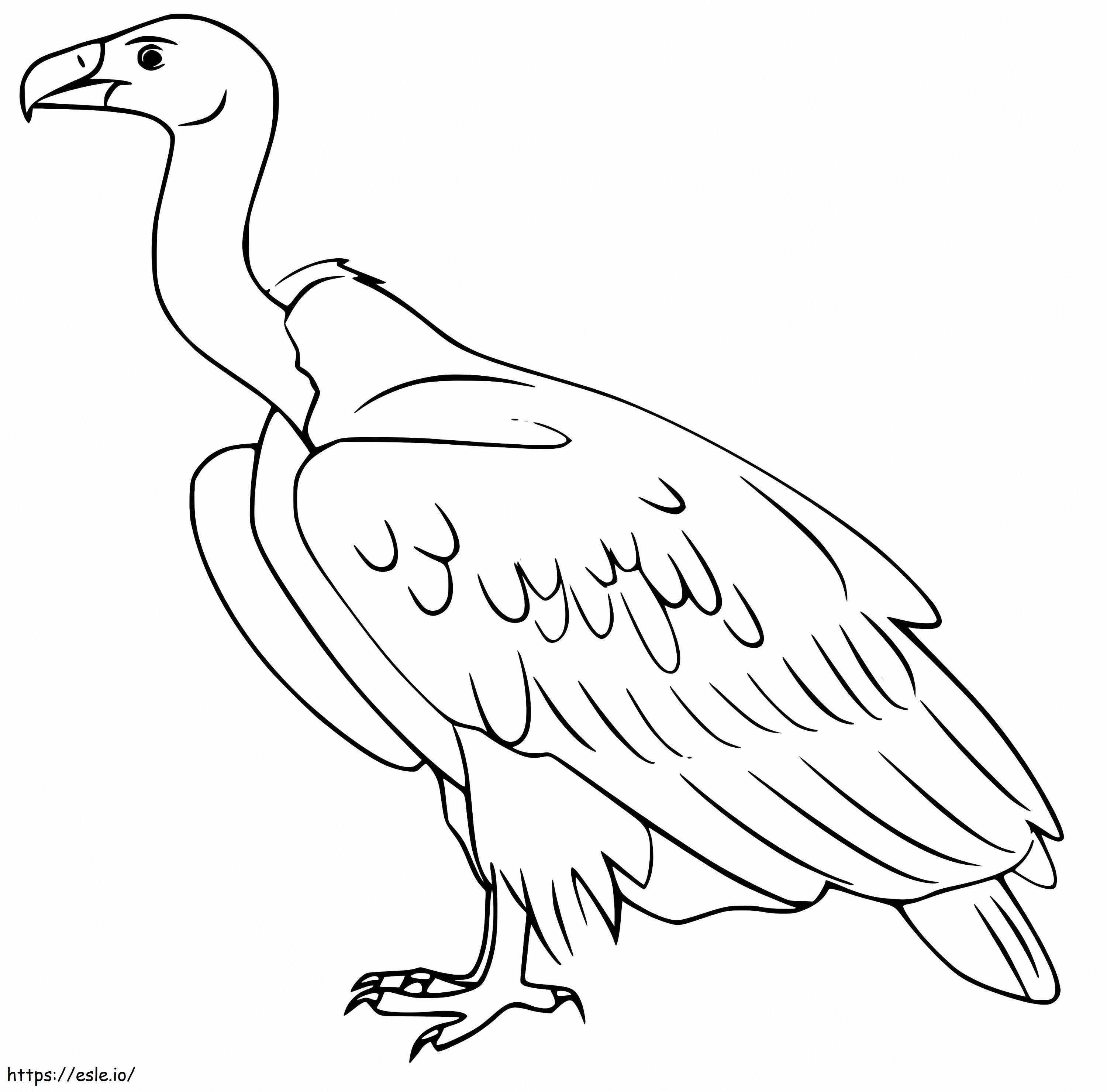 Vultur normal de colorat