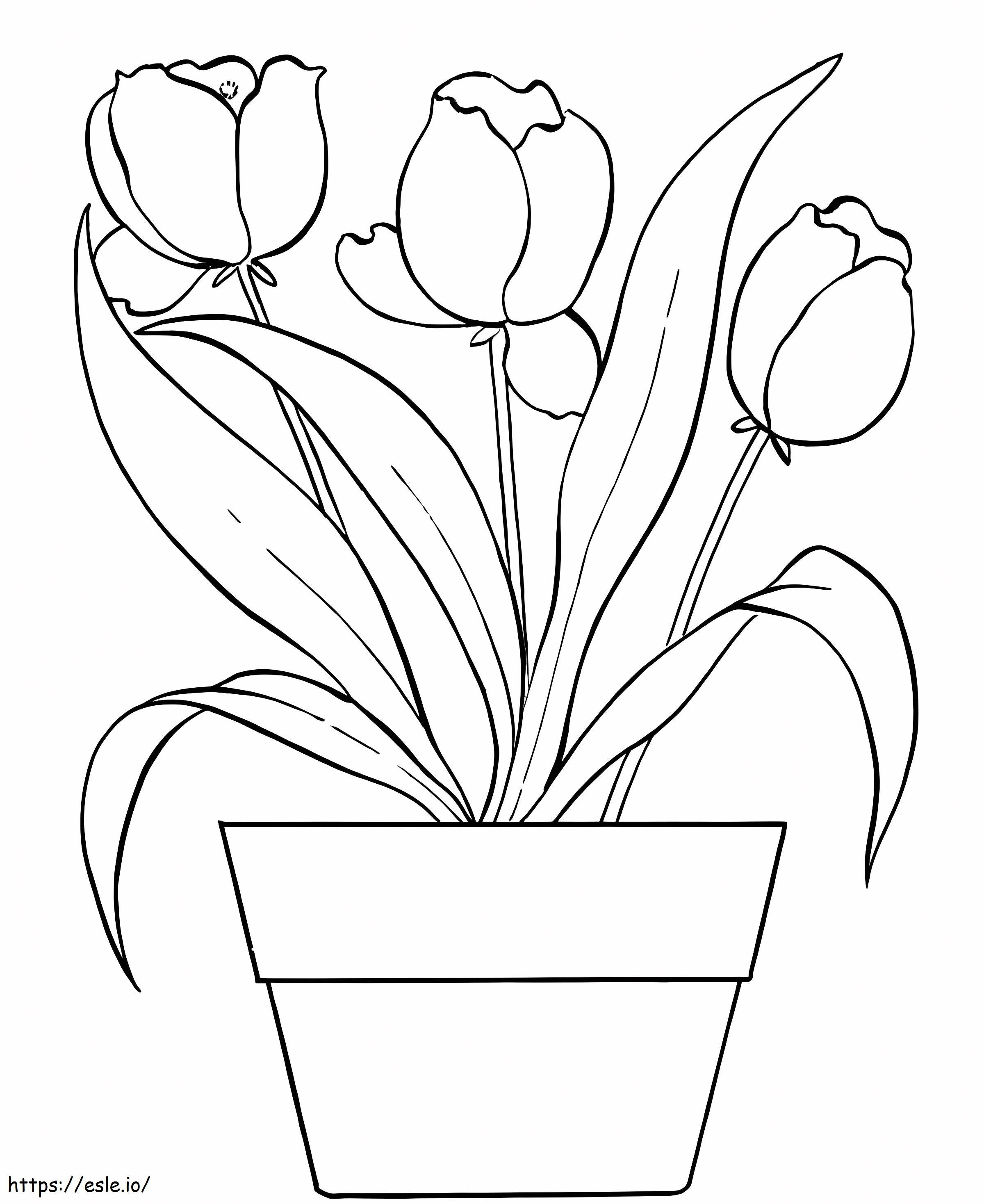 Tulpen-Blumentopf ausmalbilder