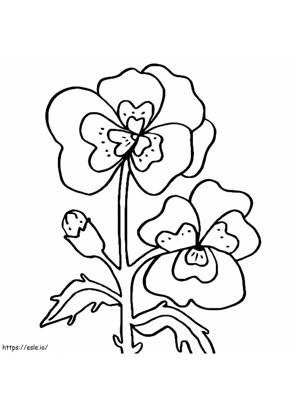 Coloriage Fleur de pensée gratuite à imprimer dessin