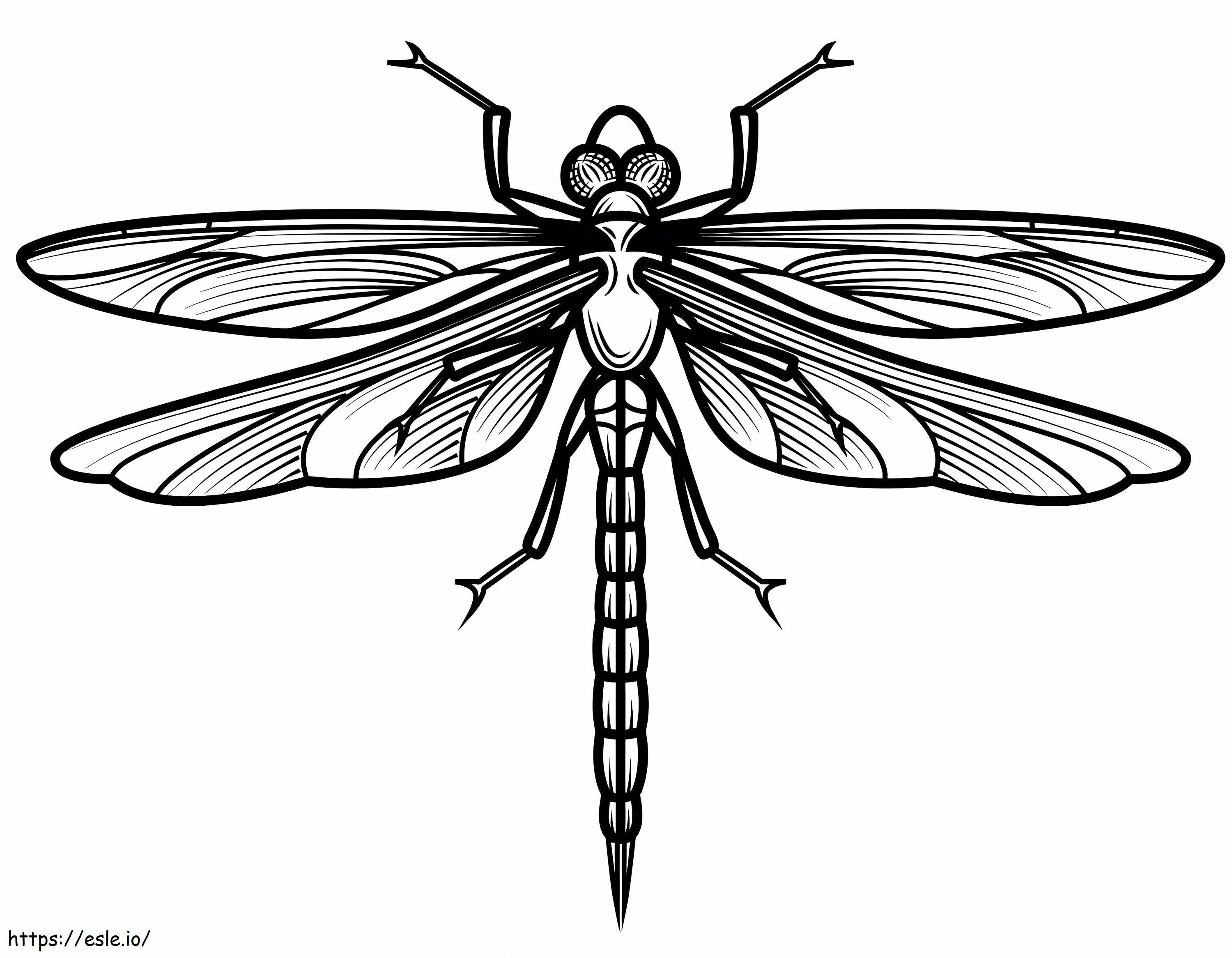 Dragonfly 3 coloring page