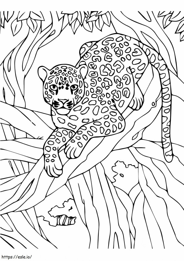 Leopardi puussa värityskuva
