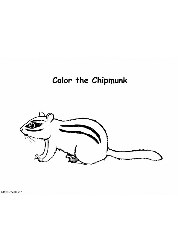 Chipmunk imprimabil de colorat