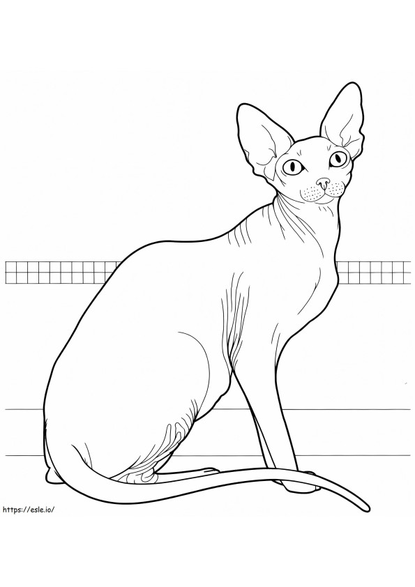 Sphynx-kat kleurplaat