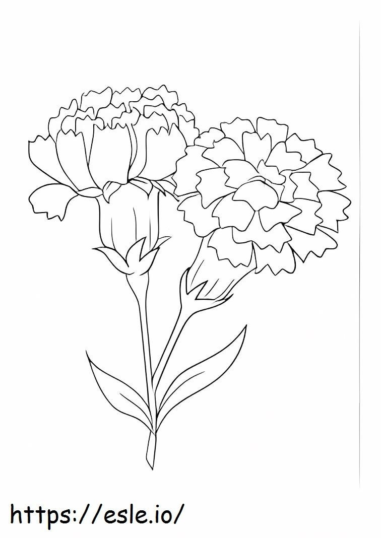 Basic Carnation coloring page