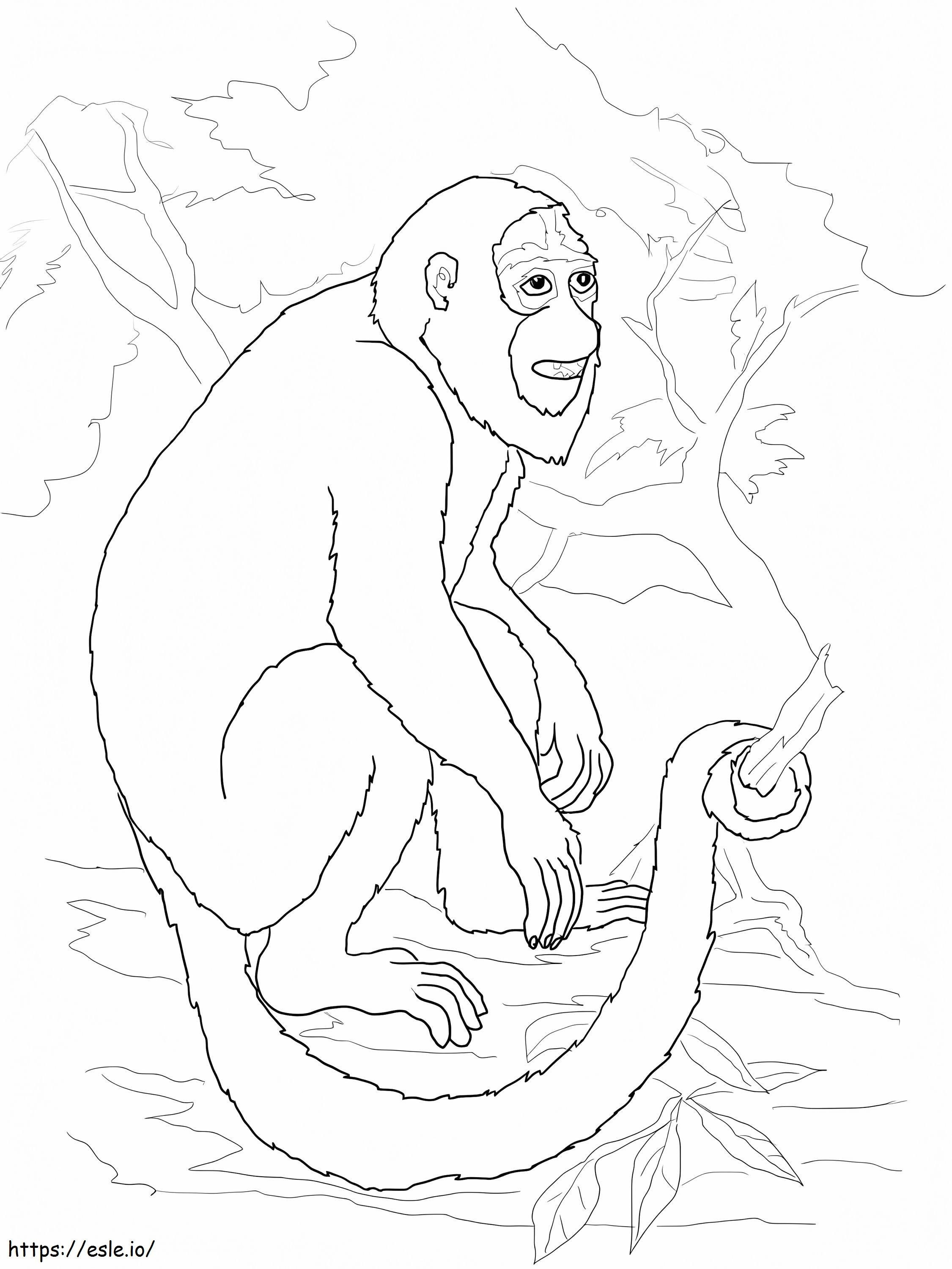 Macaco barulhento para colorir
