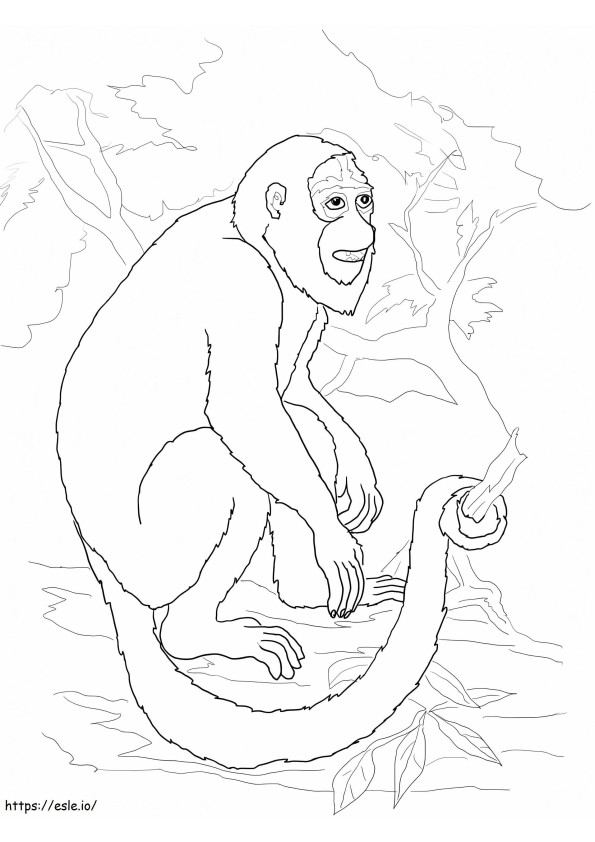 Macaco barulhento para colorir