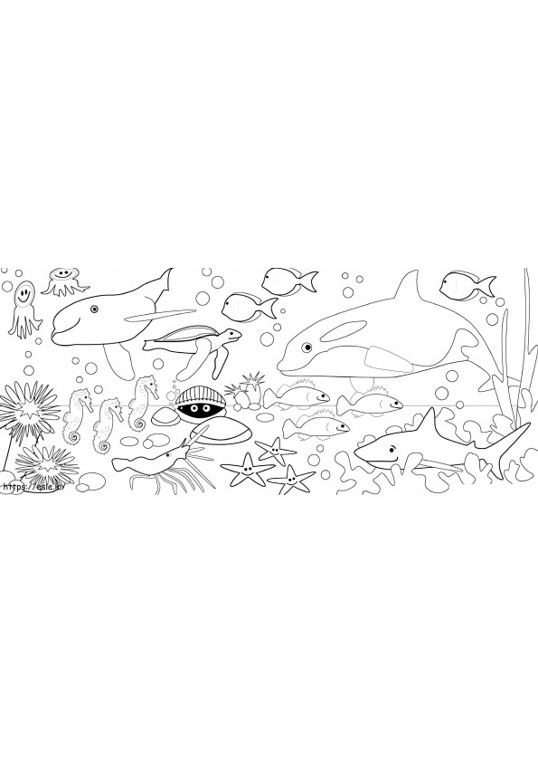 Four Cute Sea Animals coloring page
