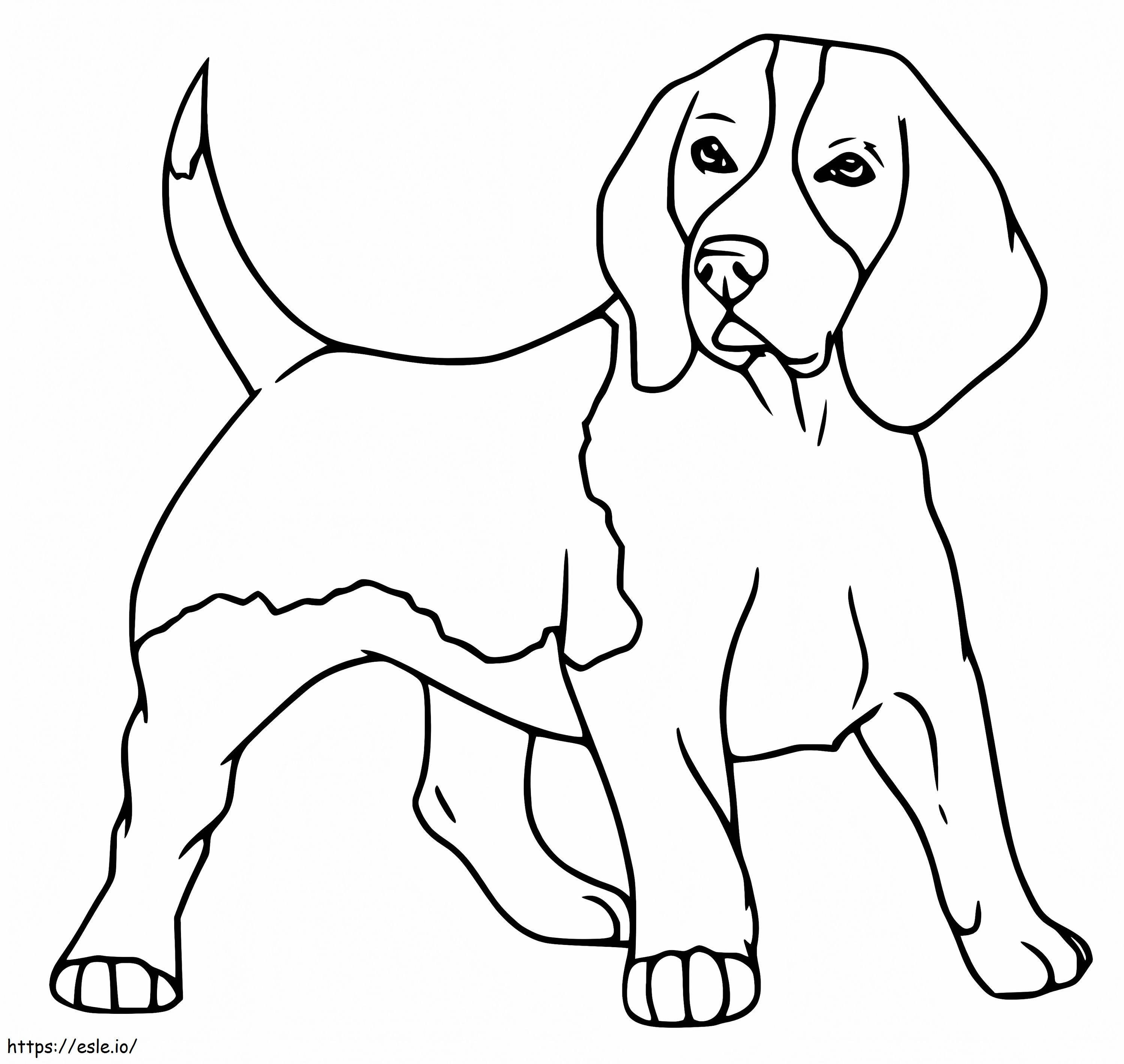 Stampa Cane Beagle da colorare