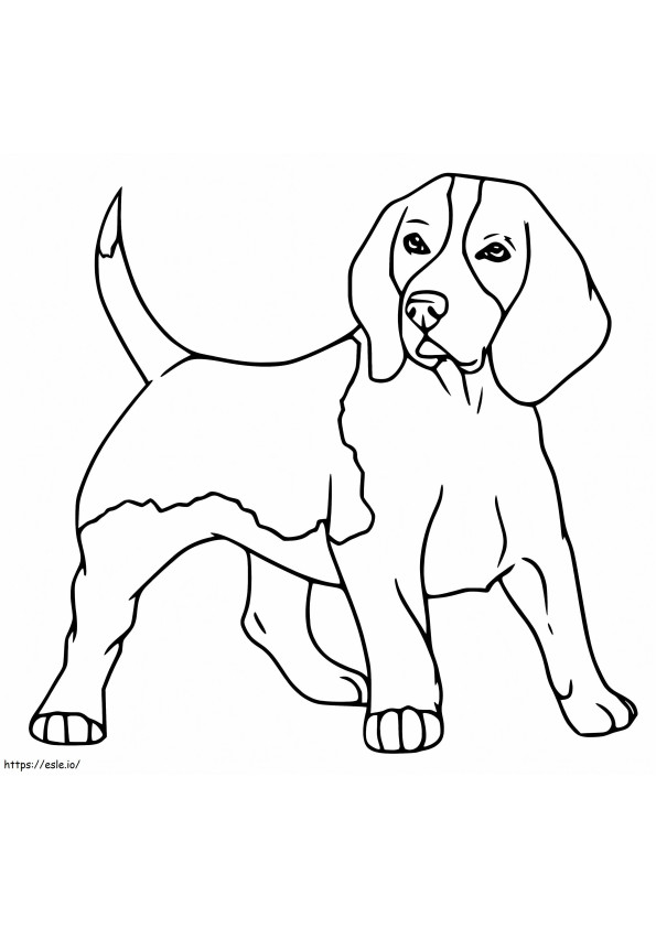 Nyomtatás Beagle Dog kifestő