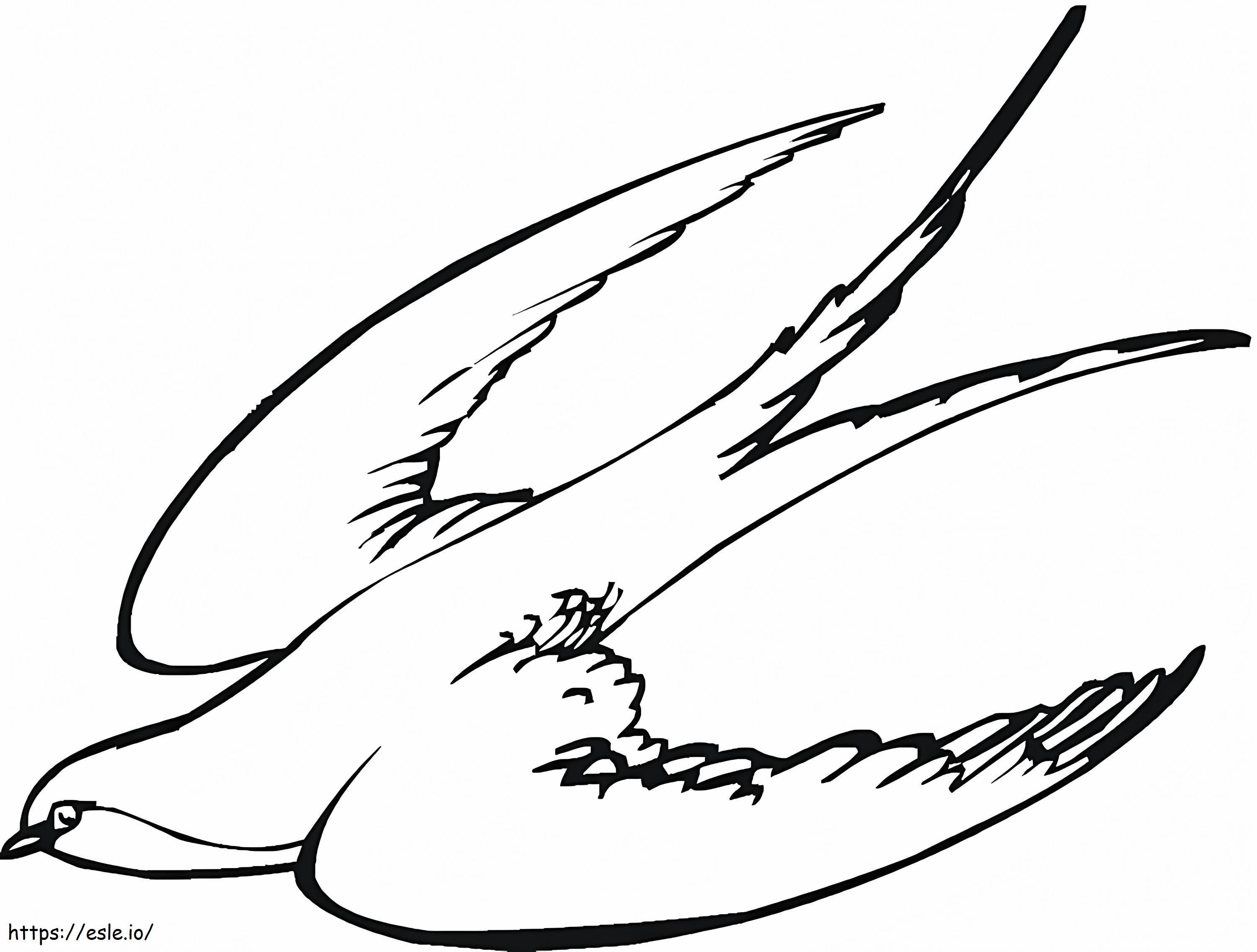 Swallow 1 coloring page