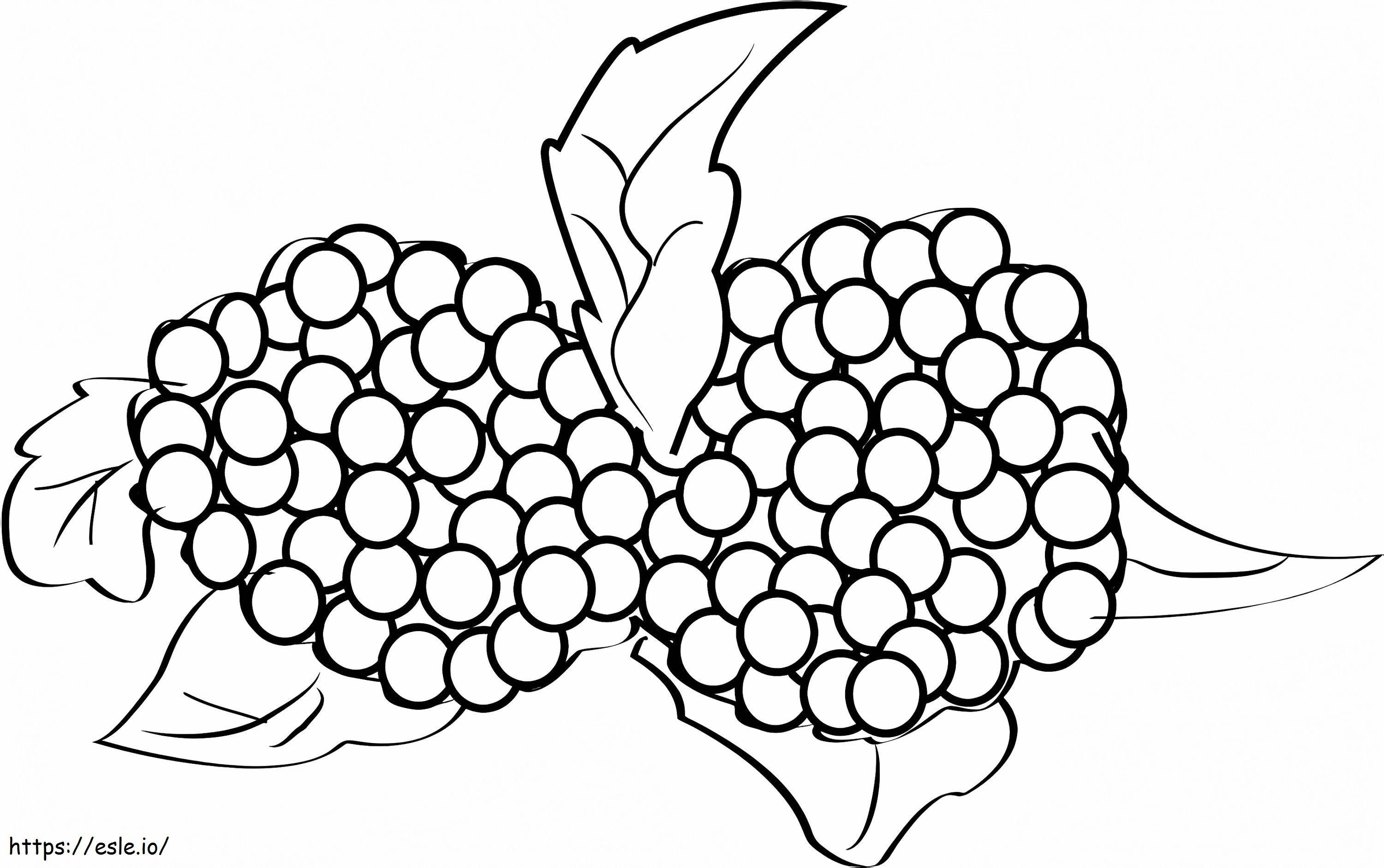 Two Blackberries coloring page