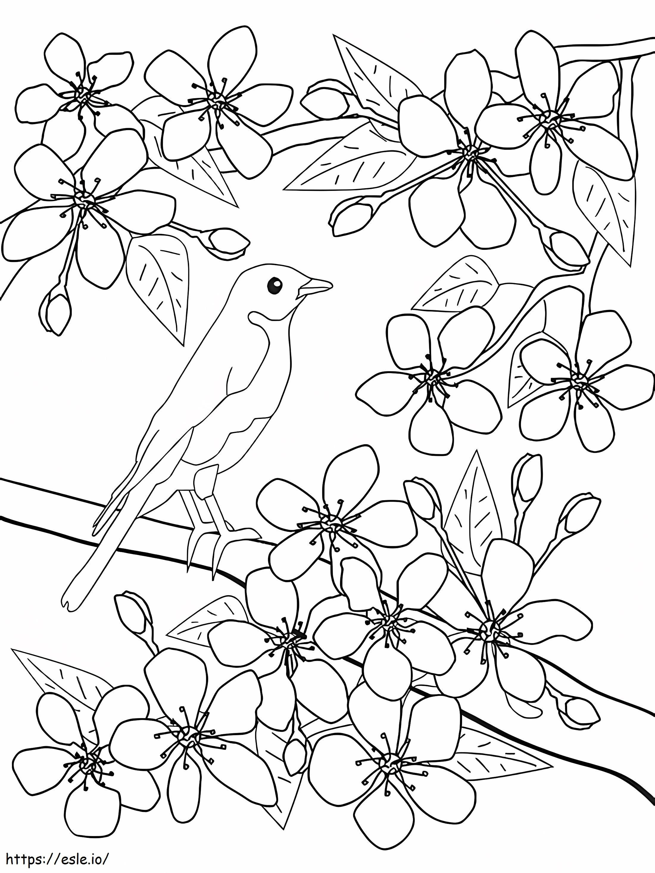 Bird And Flower In Spring coloring page