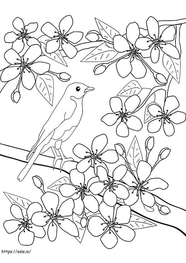 Coloriage Oiseau et fleur au printemps à imprimer dessin