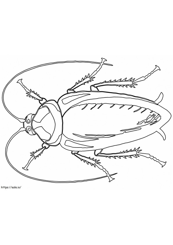 Cockroach Printable coloring page