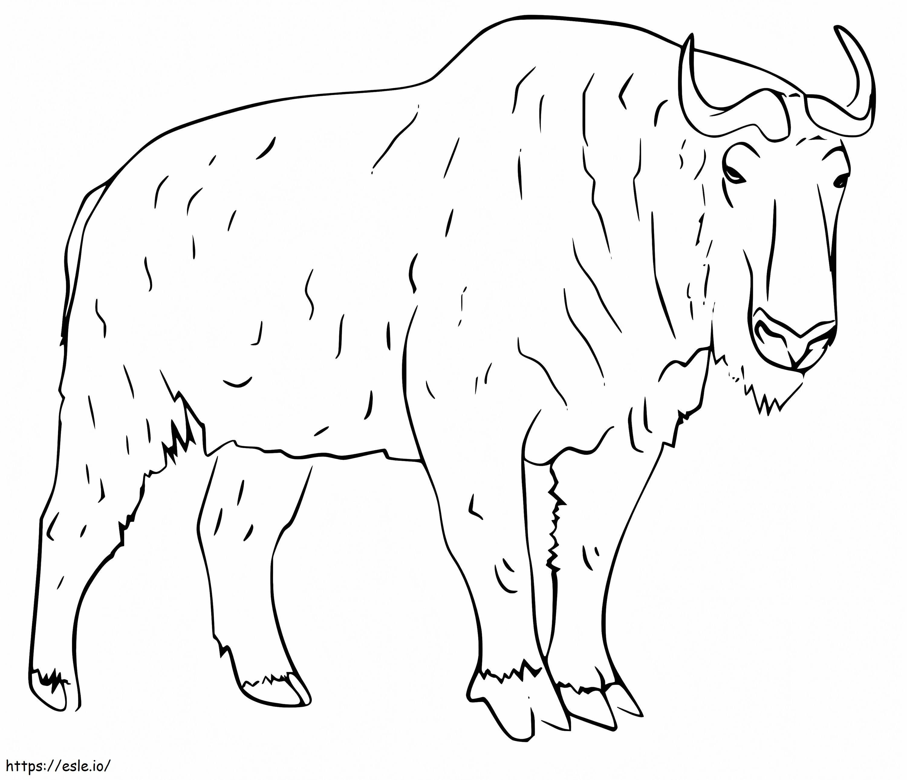 Free Takin coloring page
