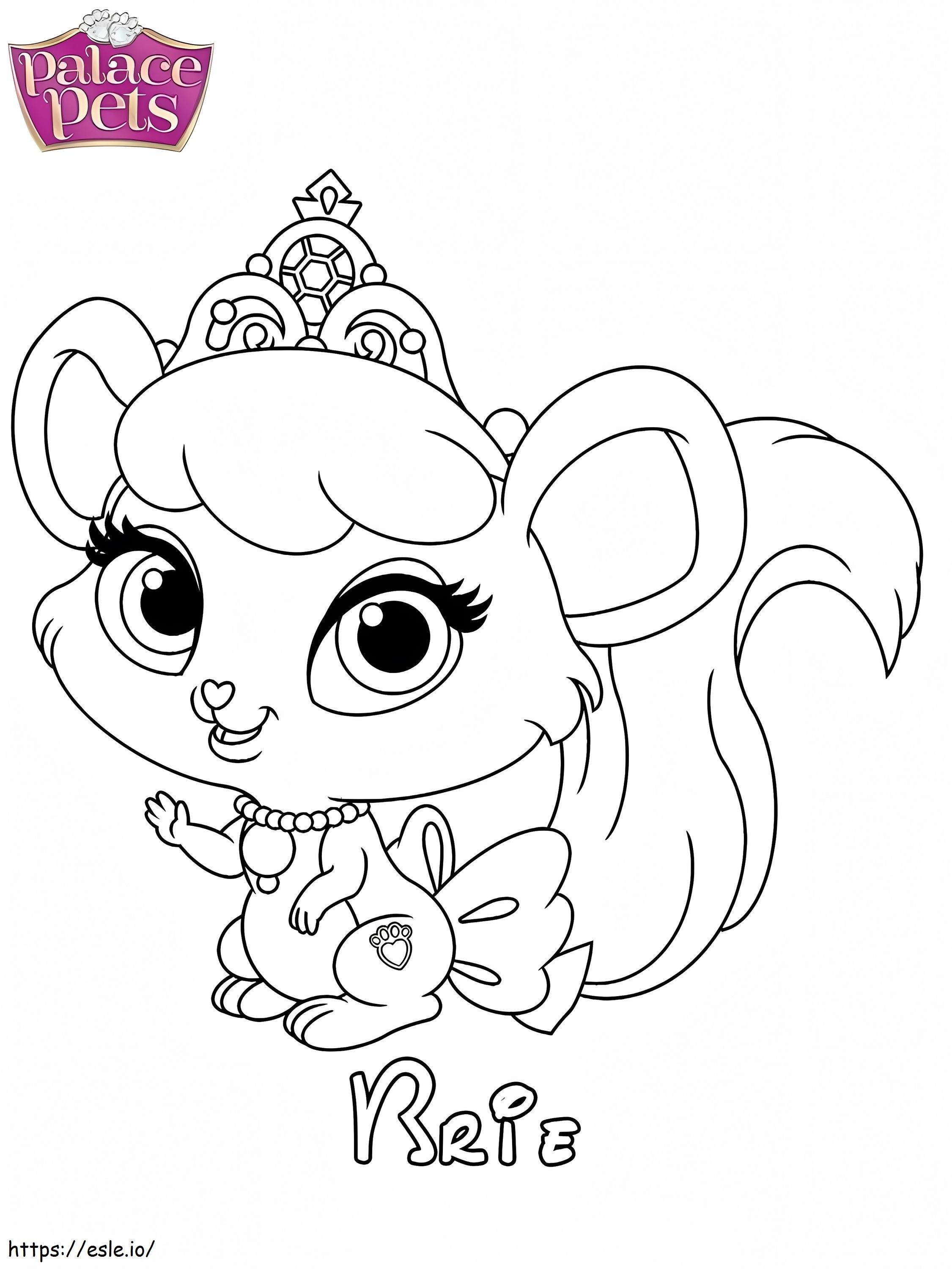 Brie Princess coloring page