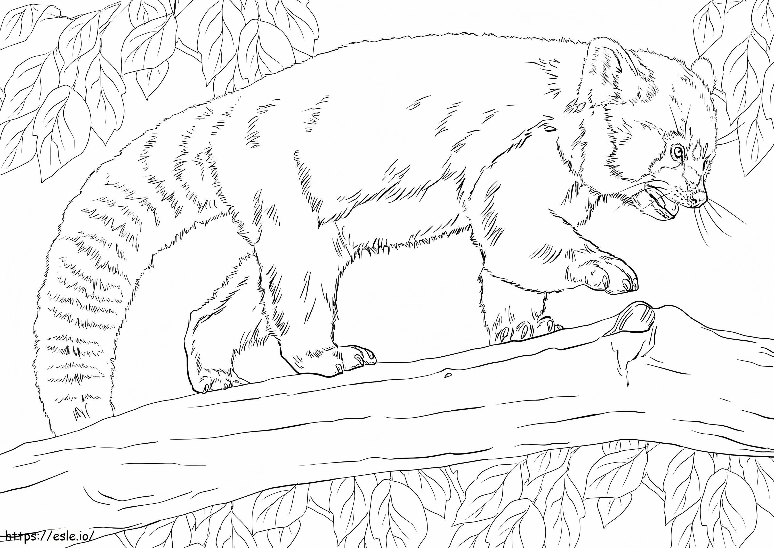 Red Panda On A Tree coloring page