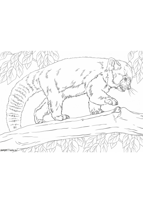 木の上のレッサーパンダ ぬりえ - 塗り絵
